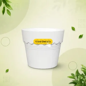 Deco Tob - ডেকো টব