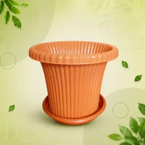 Daisy Flower Tub With Tray 12 Inch